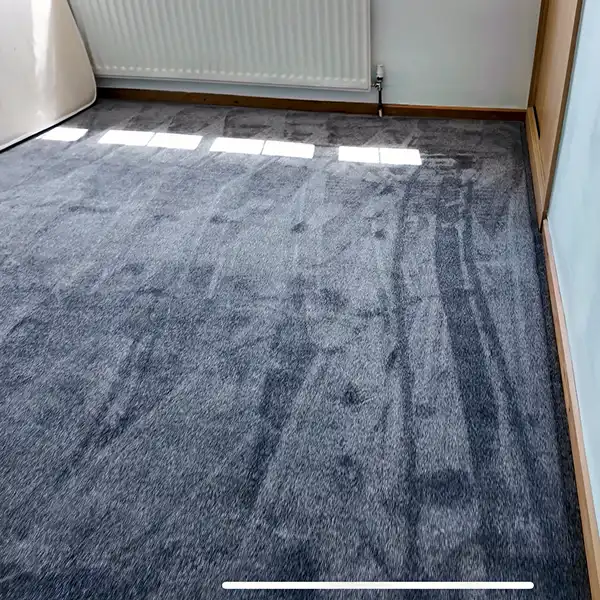 Jupiter Twist Galactic carpet Nottingham